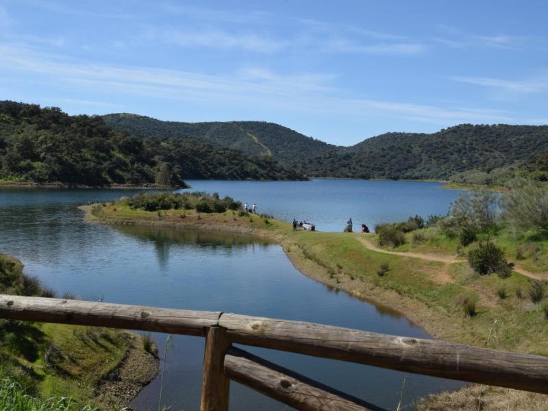 Tejadilla Casita Rural Cerca De Sevilla Con Piscina Sevilha Exterior foto